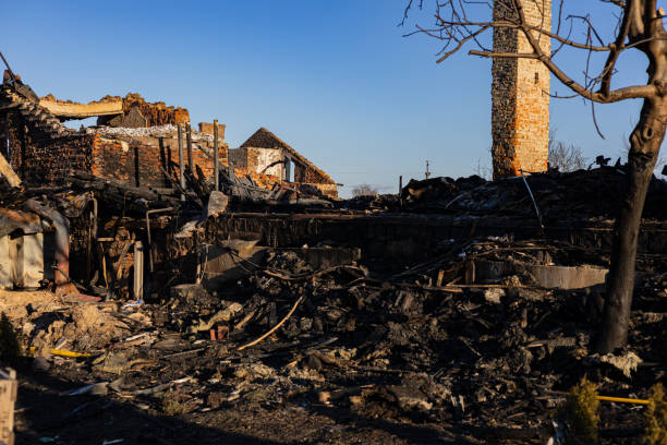 Reliable Content Restoration contractor in Dallas, TX by Fire Damage Doption